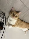 Billy Biscuits - Photo 2