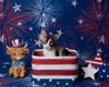 Chiquita Le Chat - Photo 3