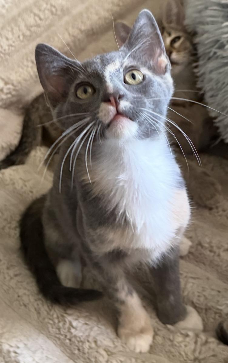 Photo of Lucy-vanpelt Peanuts