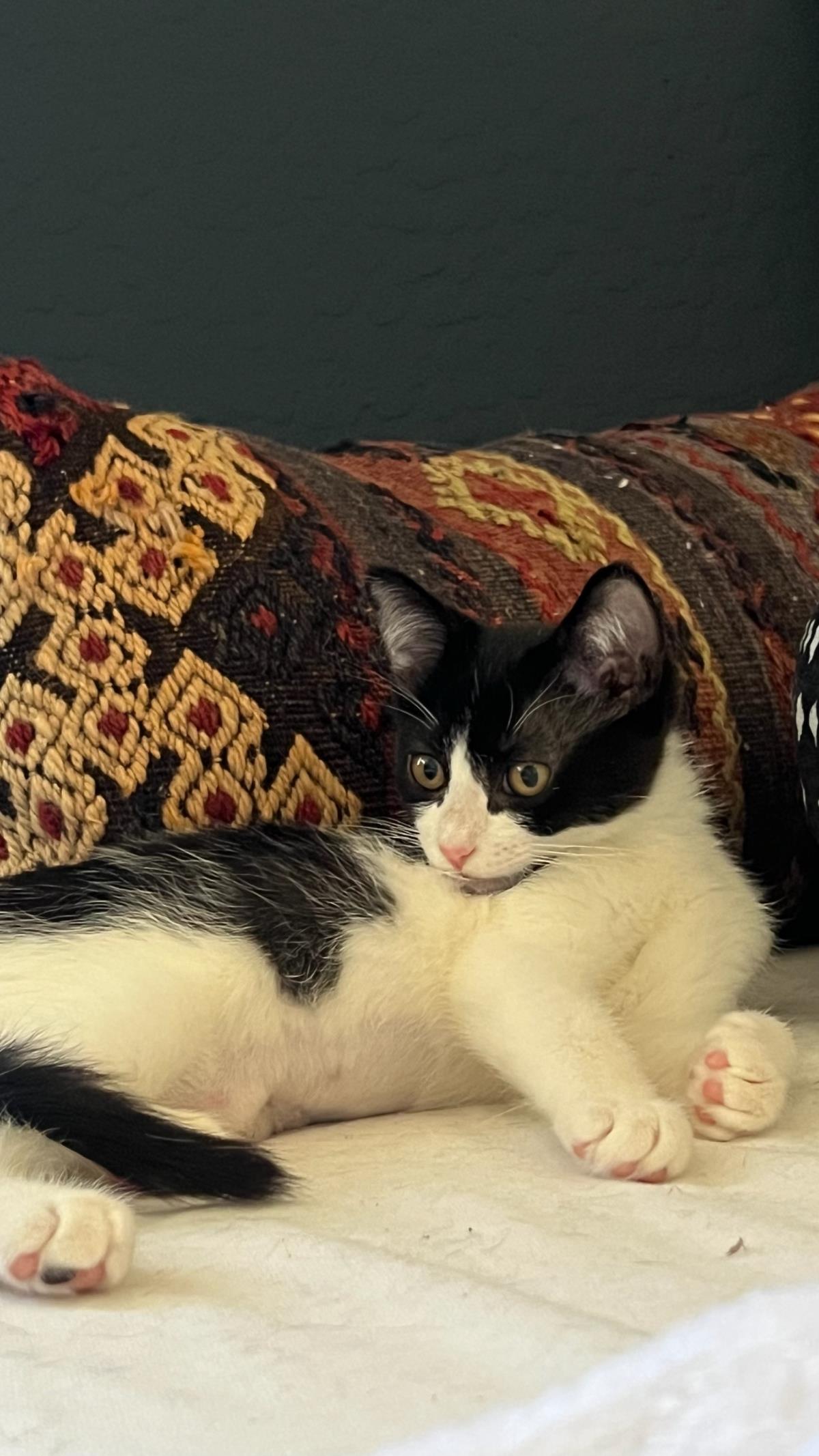 Photo of Lulu Rae