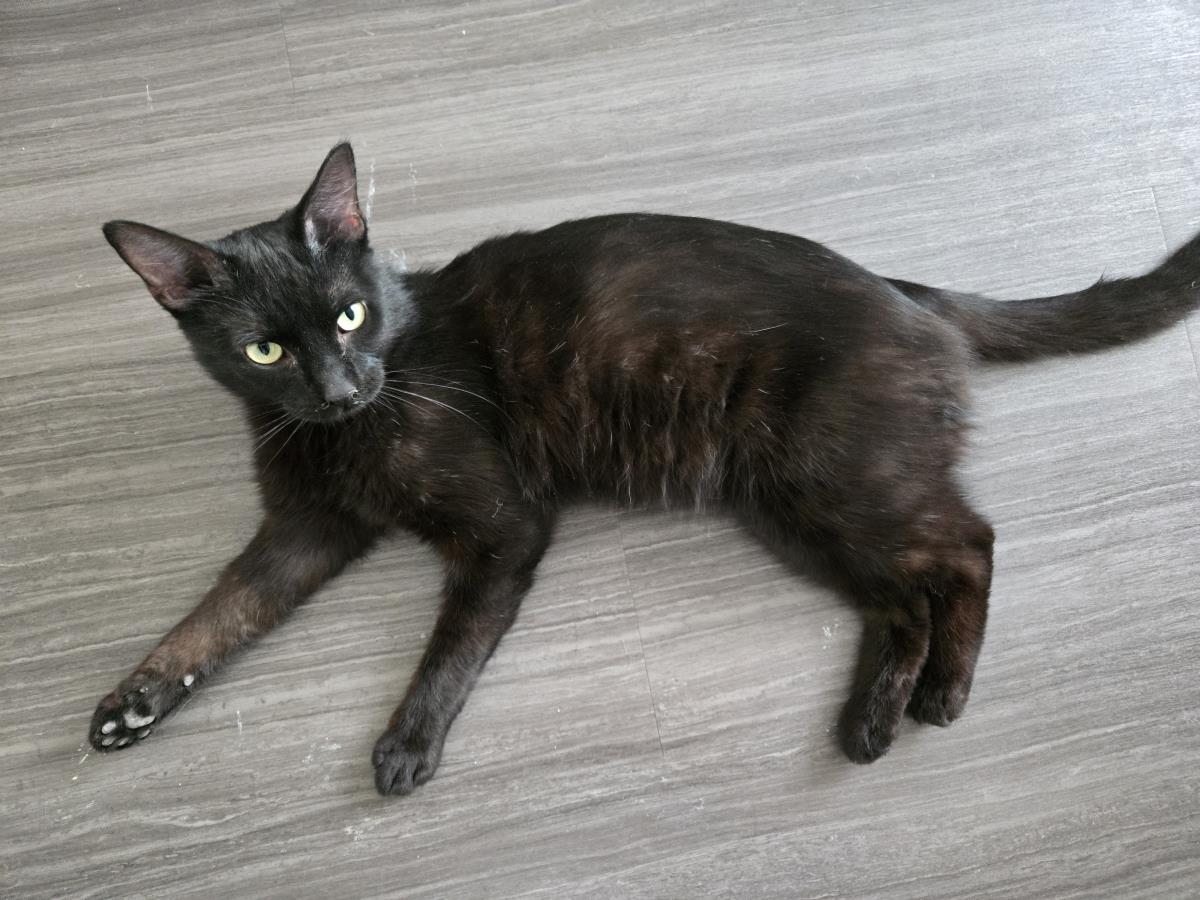 Photo of Morgan Furrman