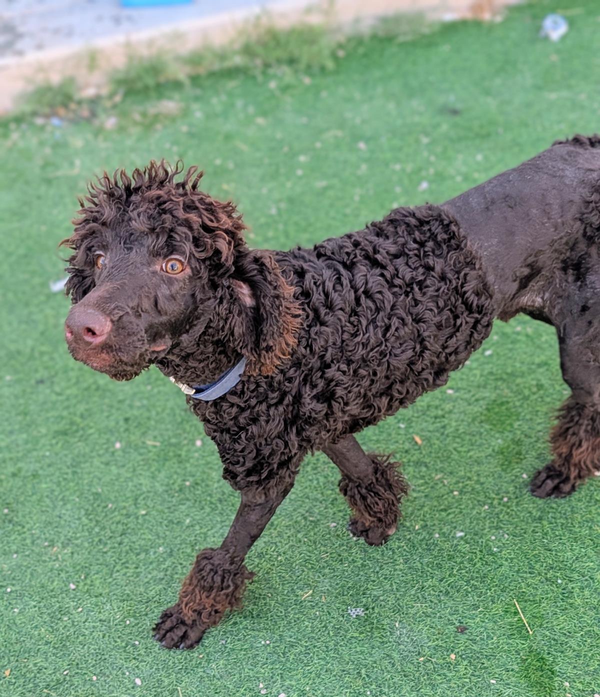 Photo of Koco Moe