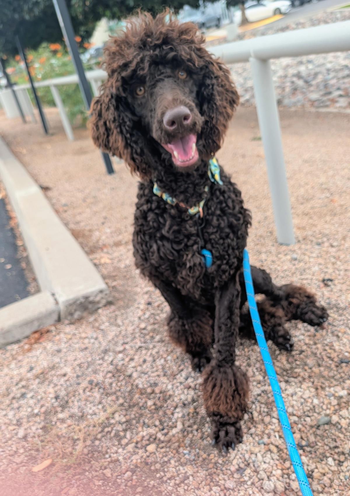 Photo of Koco Moe