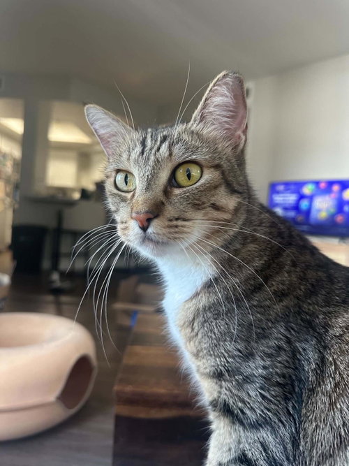 Ali Bell photo 2