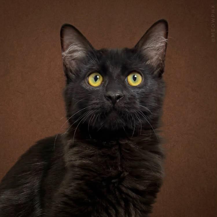 Photo of Salem Lara