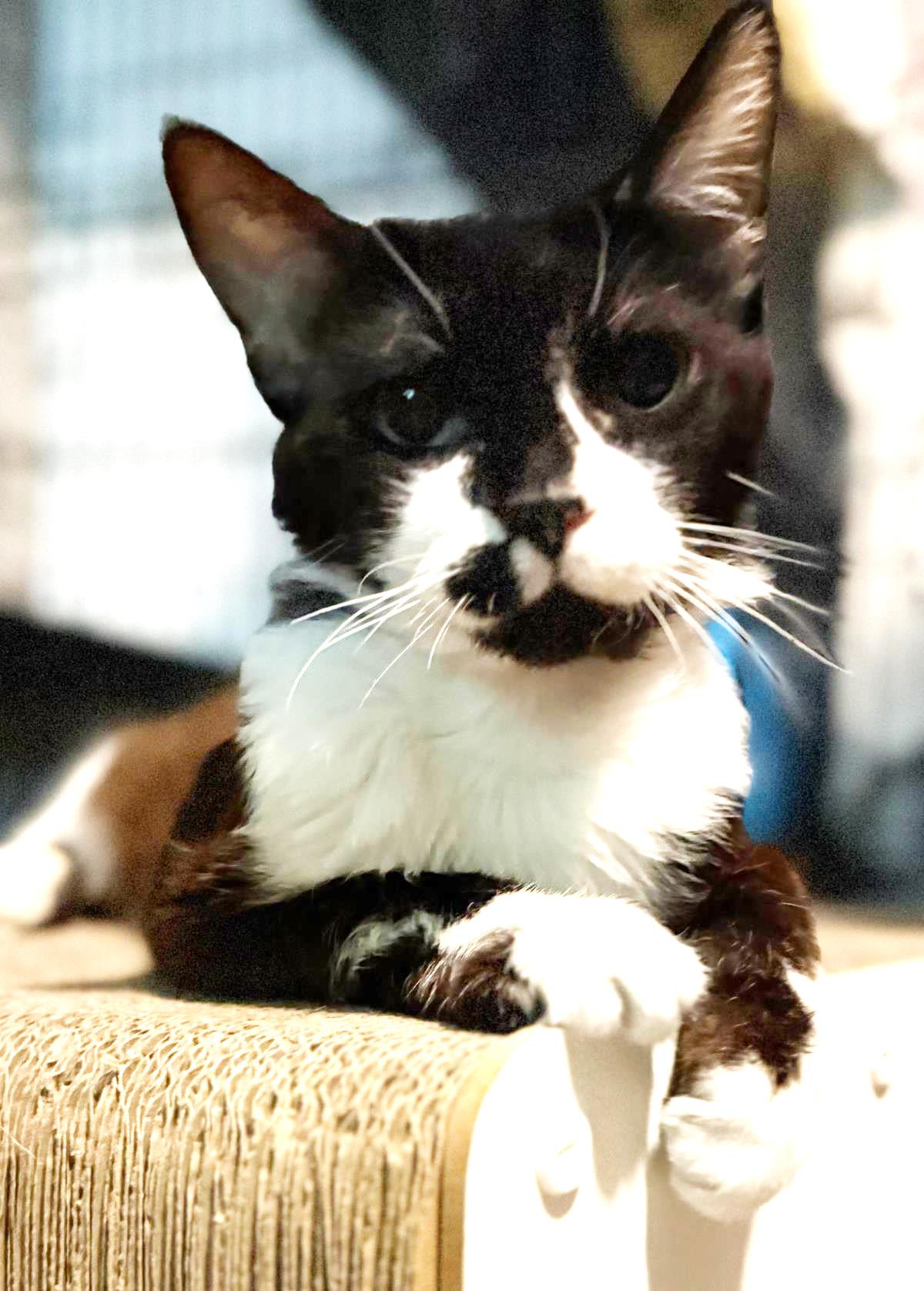 Photo of Kendrick Clawmar