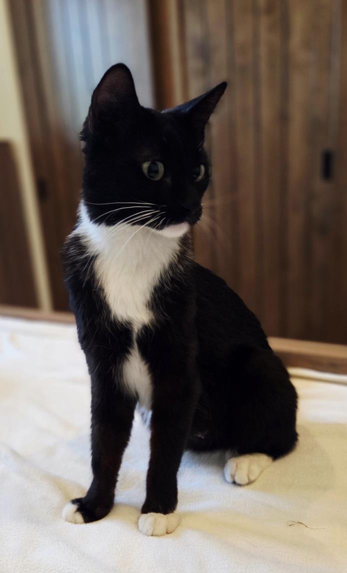 Photo of Elmira Nevermore