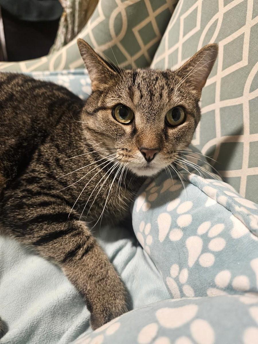 Photo of Sebastian Boop
