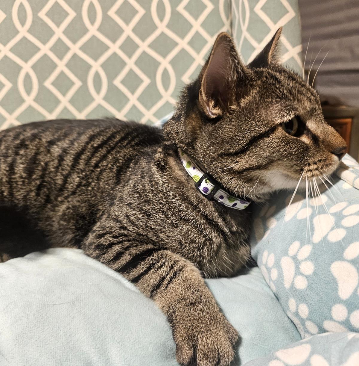Photo of Sebastian Boop