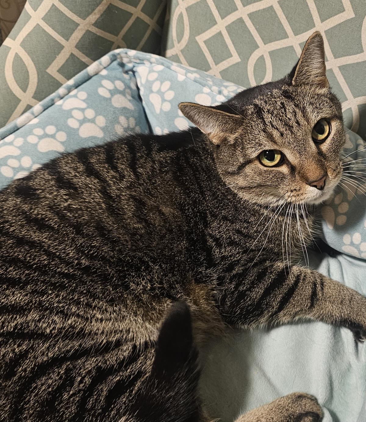 Photo of Sebastian Boop