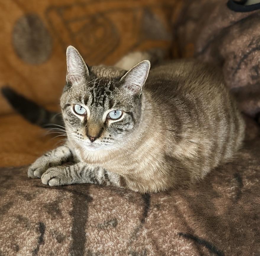 Photo of Bernie Blueberry