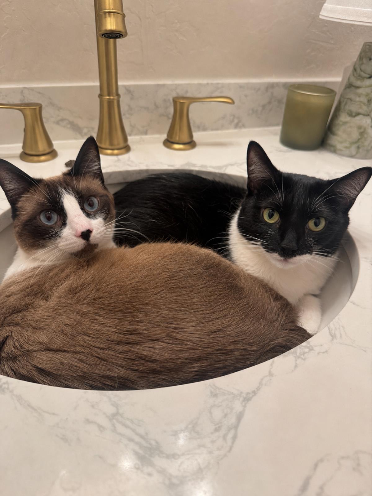 Photo of Sandy Summer Bonded With Sunny Summer