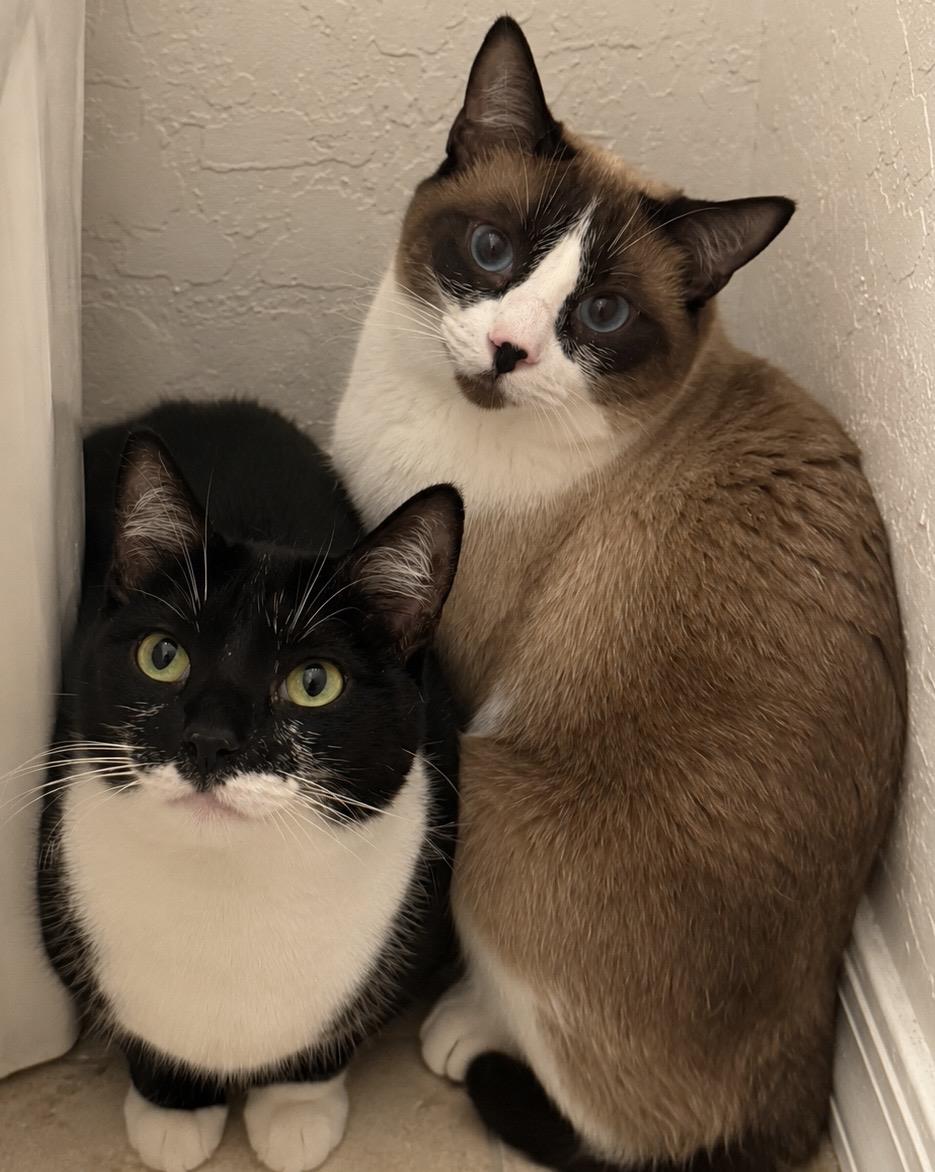 Photo of Sandy Summer Bonded With Sunny Summer
