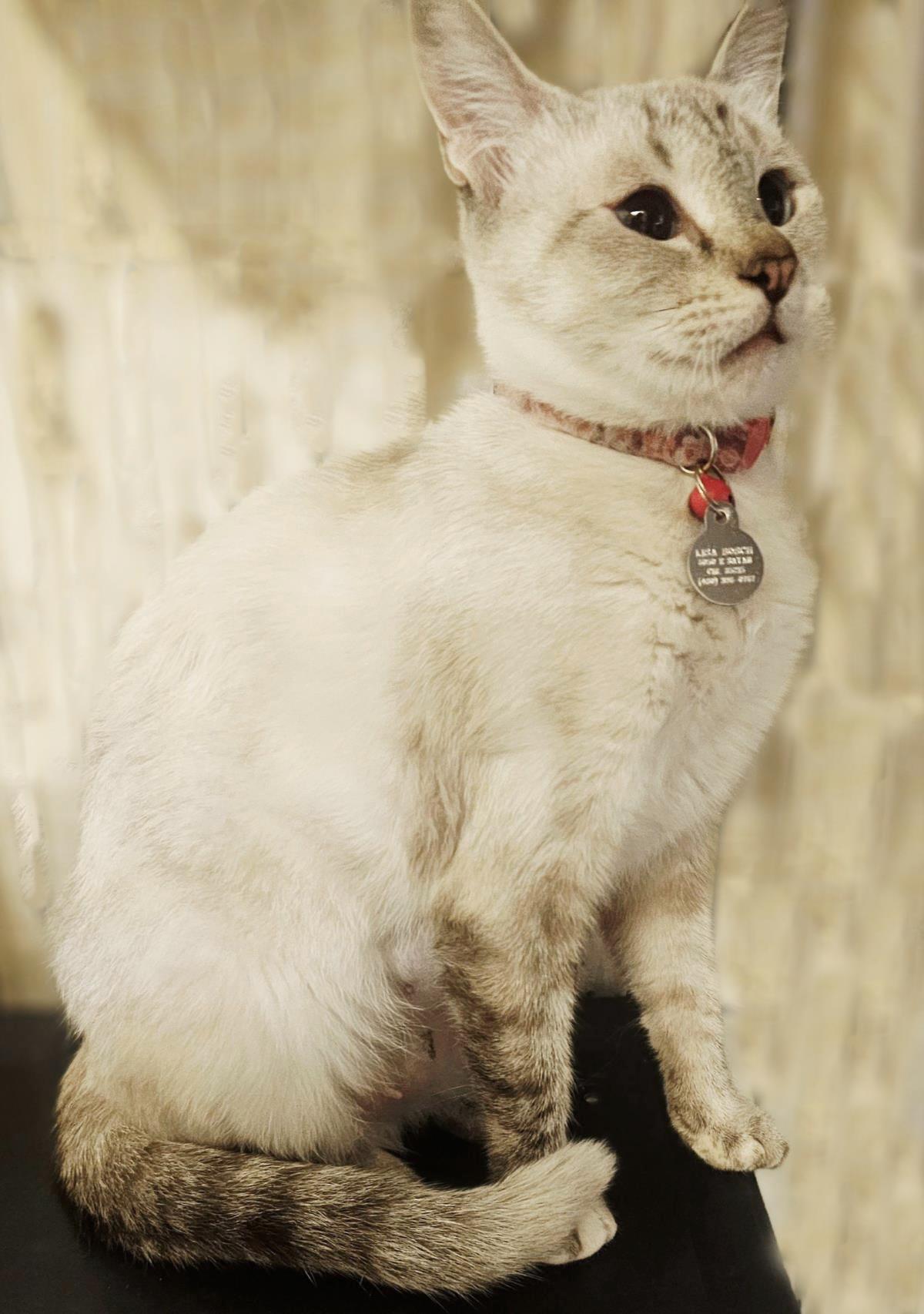 Photo of Beryl Streep