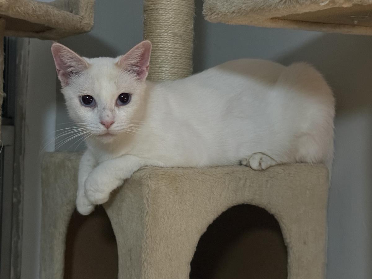 Photo of Snowey Snowprincess