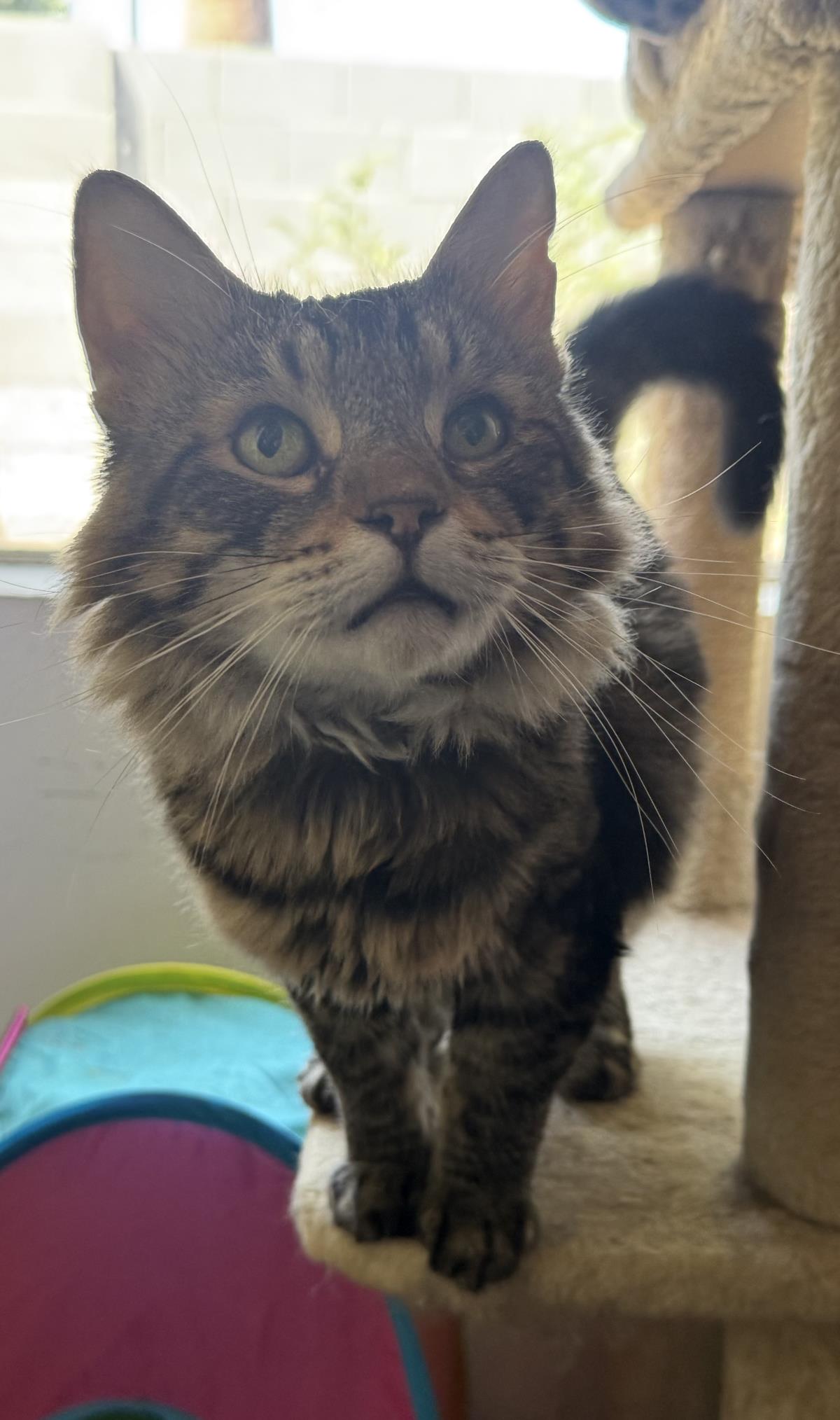 Photo of Skater Boi