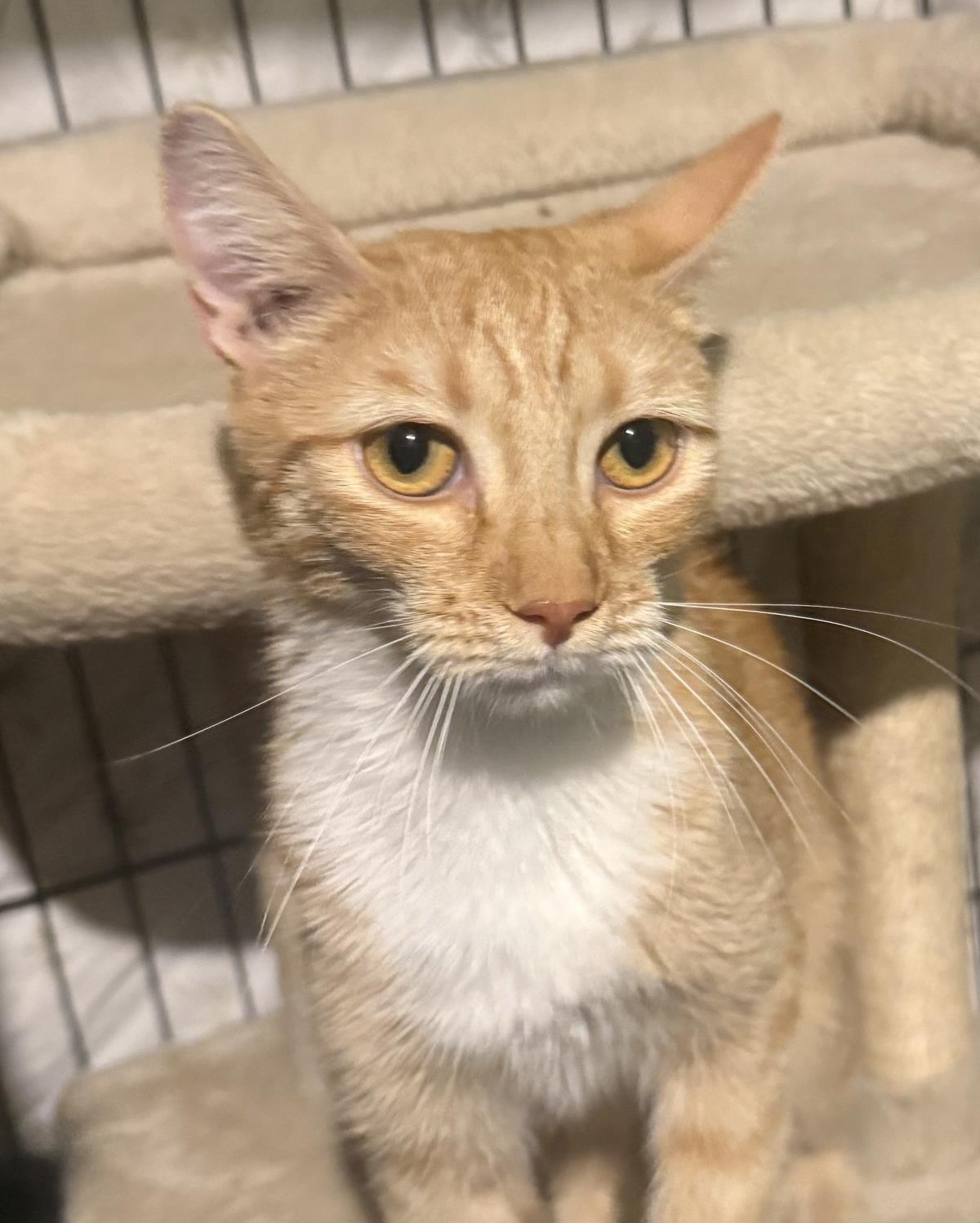 Photo of Jenny Meower