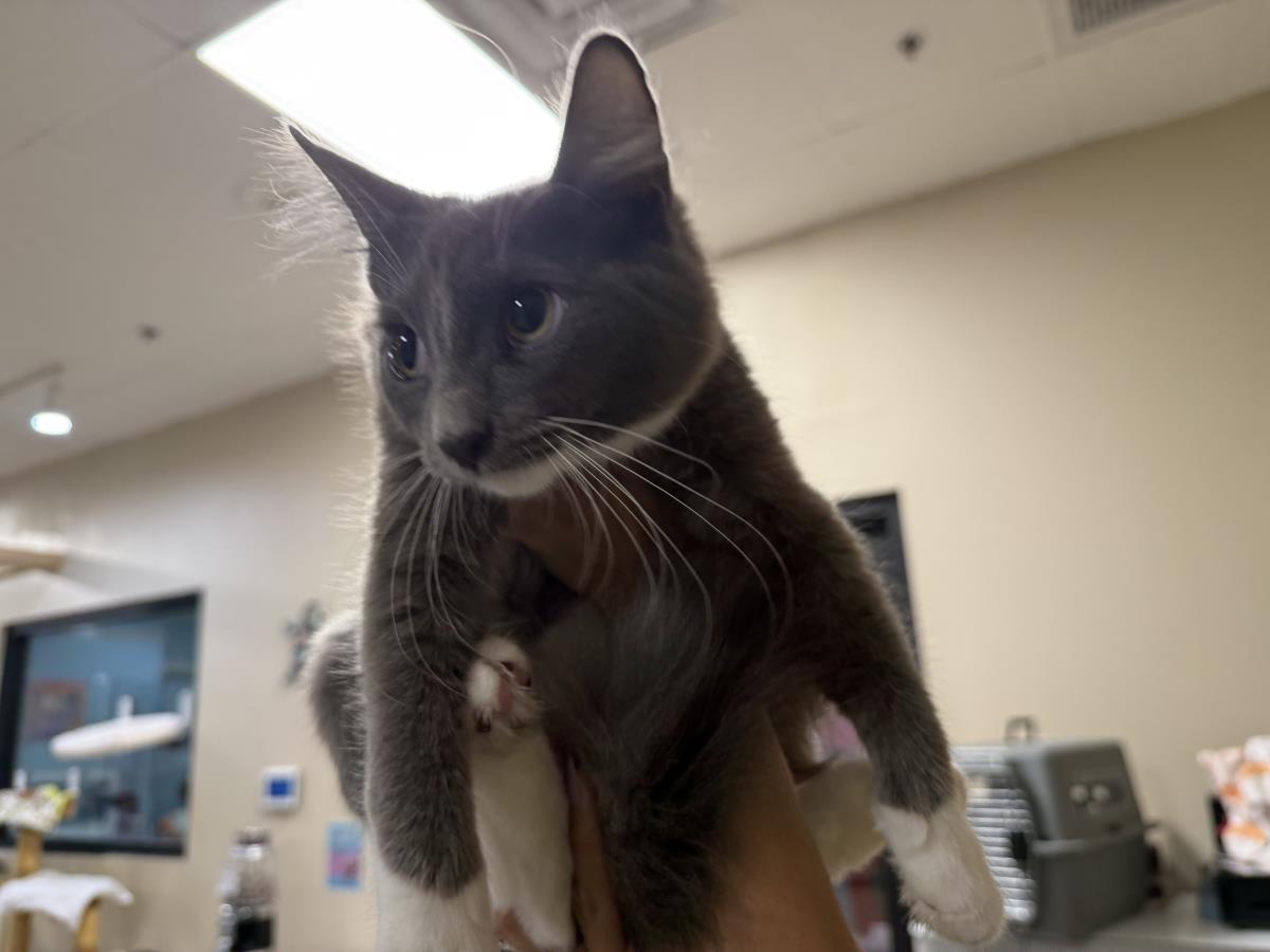 Photo of Moonificent Mooie