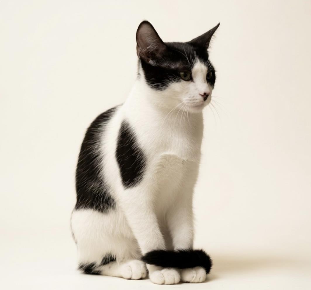 Photo of Felicia Please
