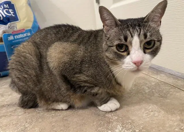 Alex Karev image 4