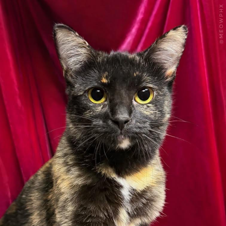 Photo of Lila Deville