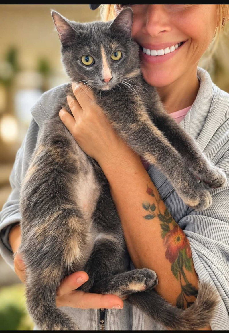 Rava Katze, photo 3