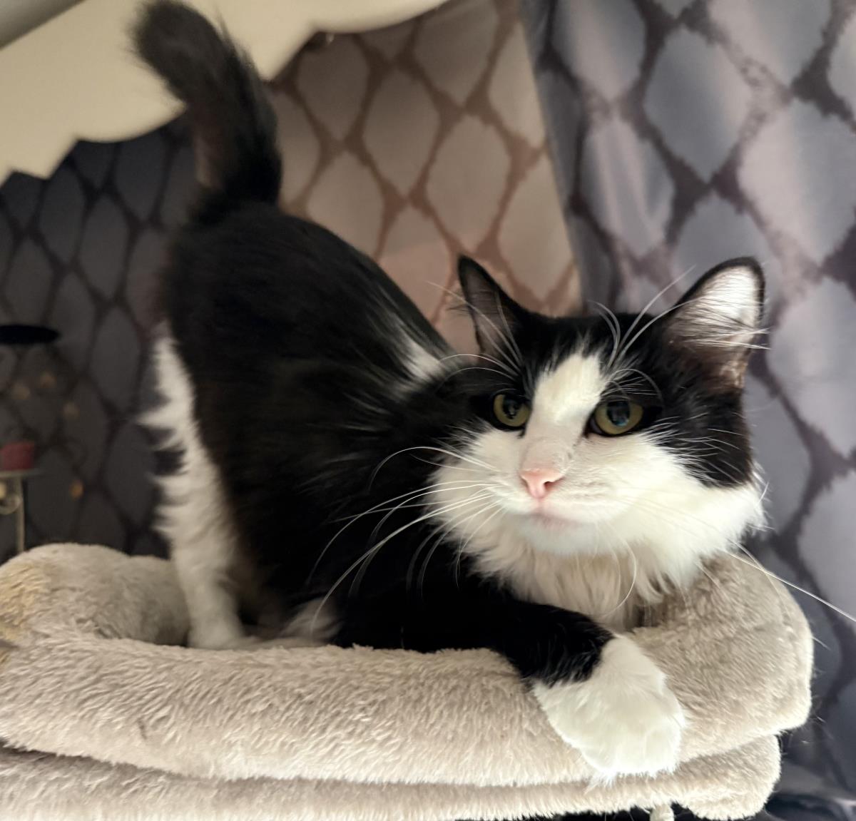 Photo of Luna Cappuccino