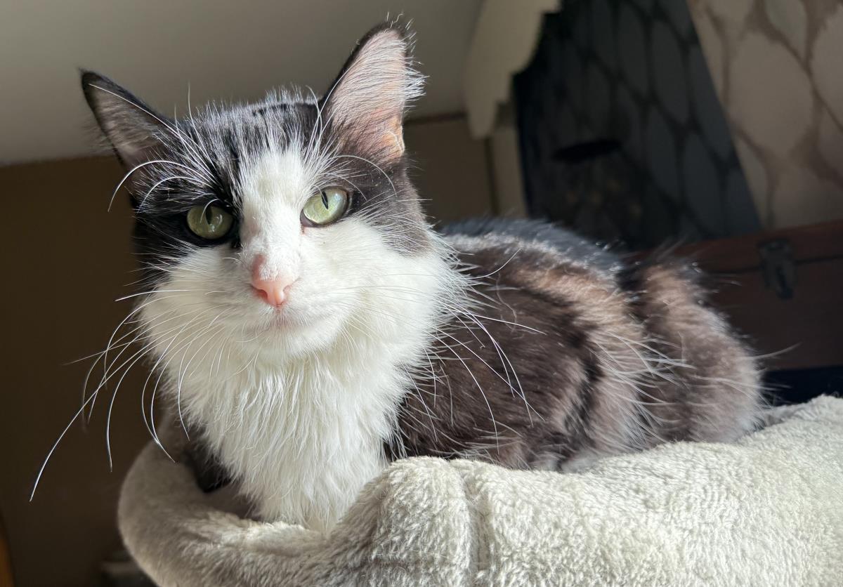 Photo of Luna Cappuccino