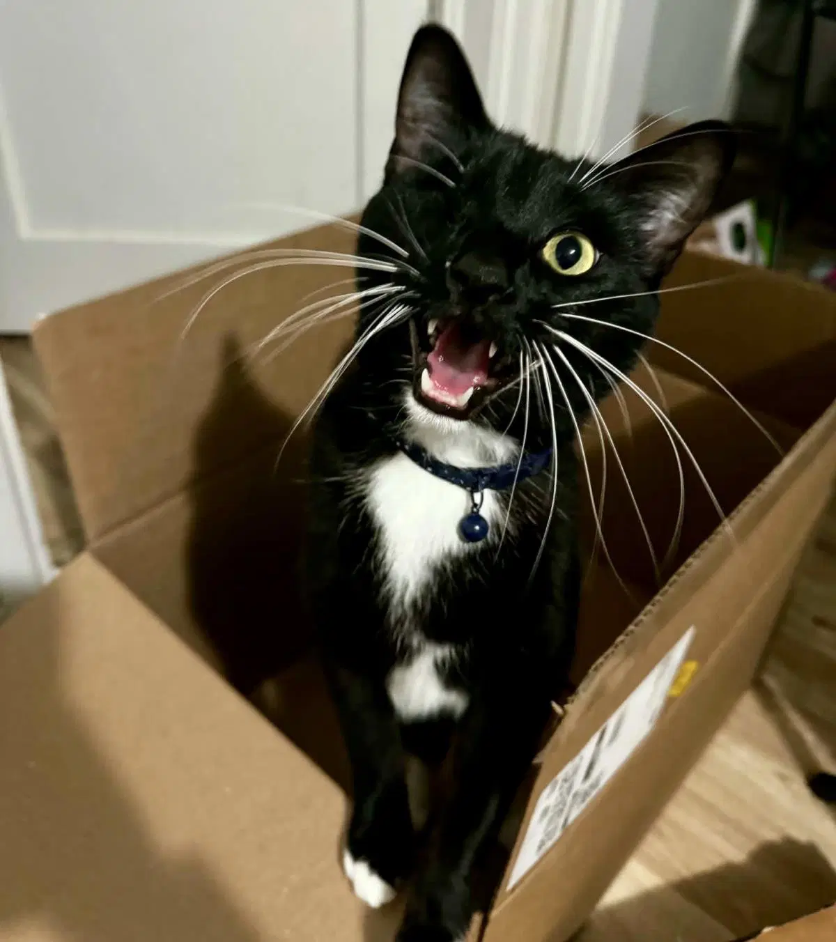 Pitch Guardian - Tuxedo