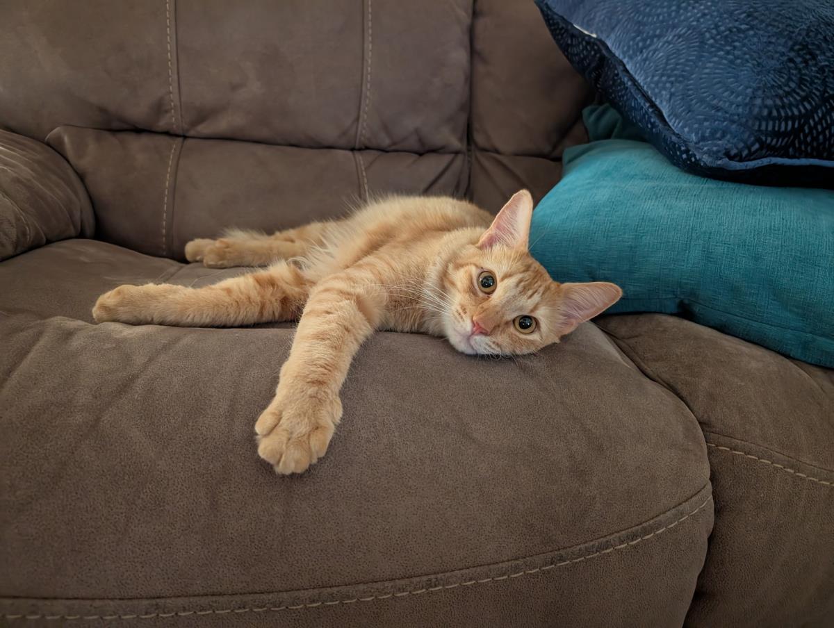 Photo of Kyle Good-looking