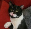 Charlie - Photo 2