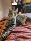 Mabel - Photo 5