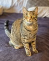 Mabel - Photo 6