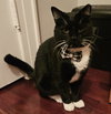 BUDDY - Photo 2