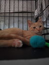 Rupert - Photo 4
