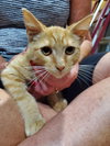 Rupert - Photo 5