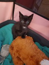 Vito - Photo 2