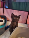 Zita - Photo 1