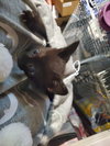 Zita - Photo 4