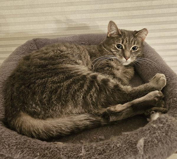 SUZIE
