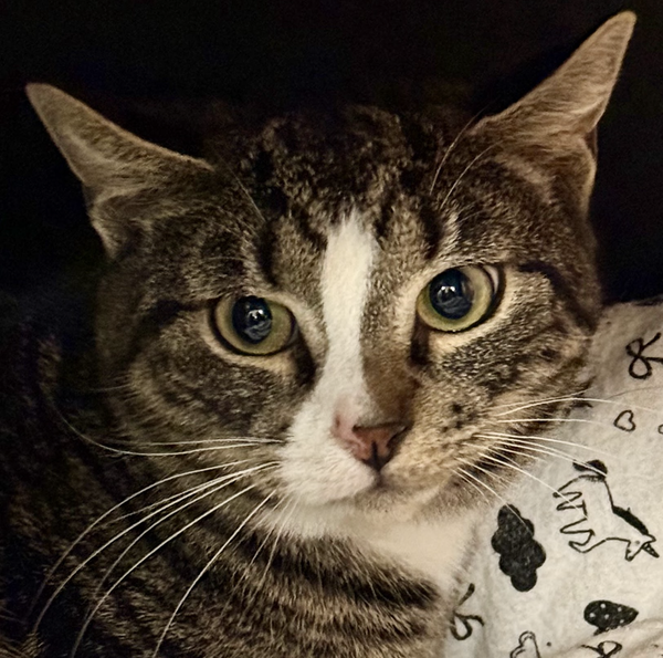 Sam