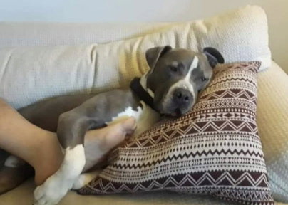 Gus