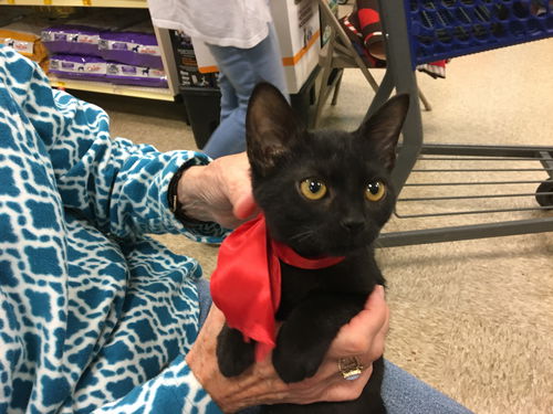 Minnie Mae