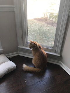 Mimi