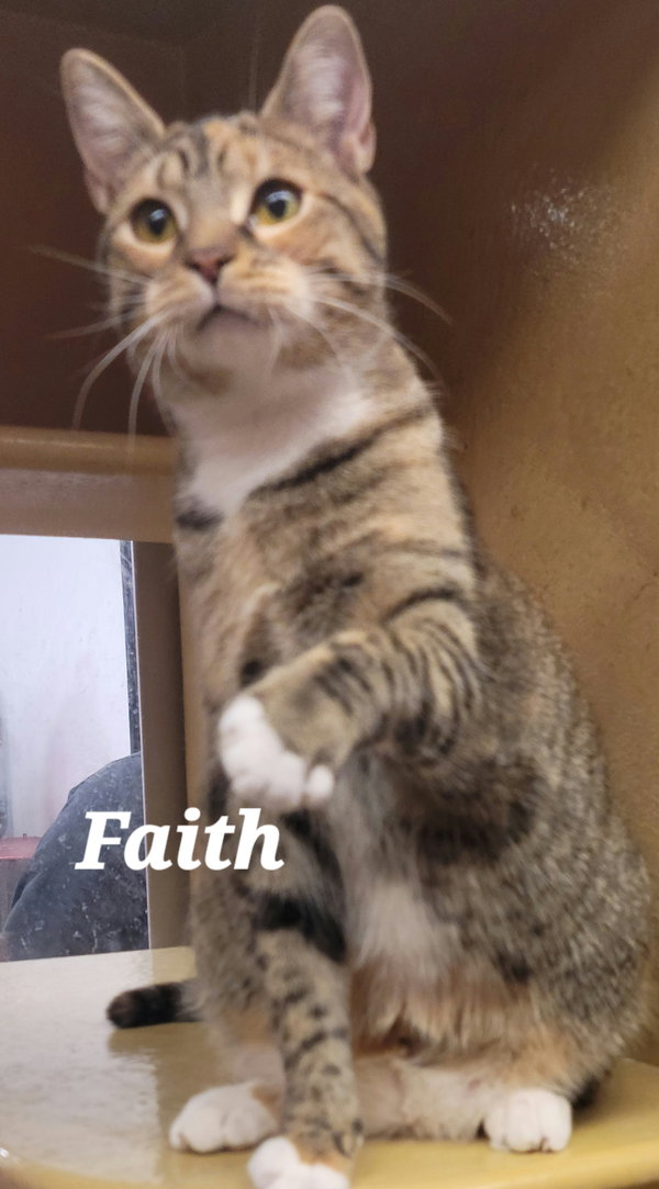 Faith