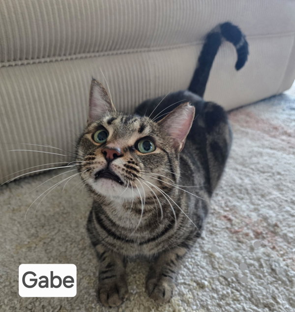 Gabe