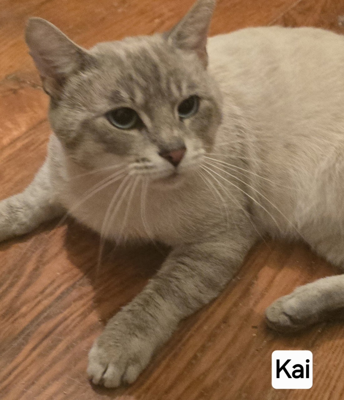 Kia Image