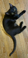 Winnie