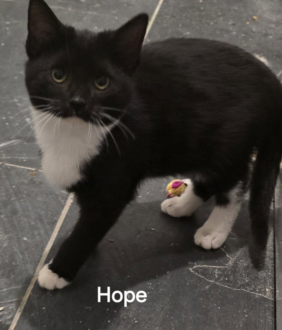 Hope