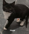 Hope